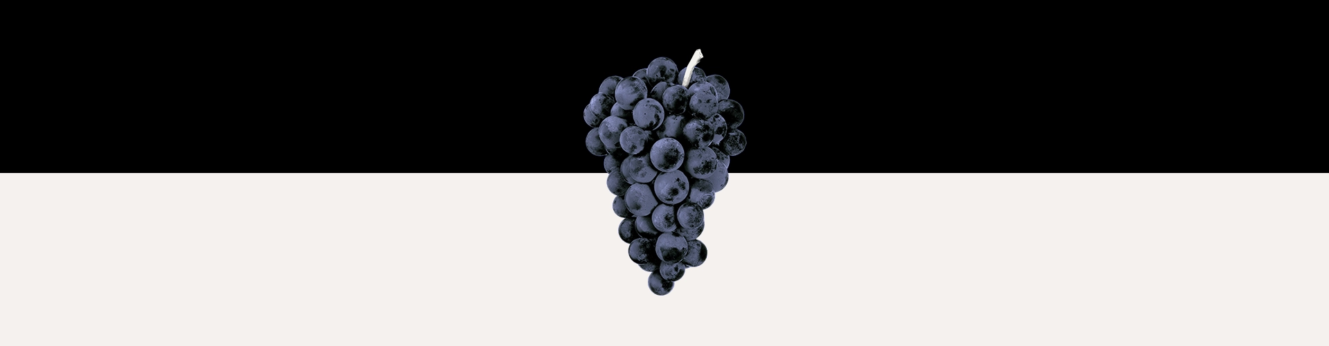 Grožđe za Royal Hill vino Crno na bijelo